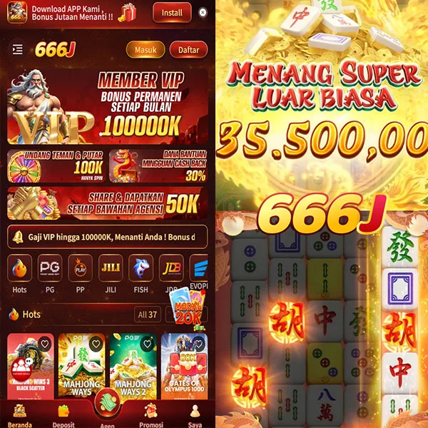 666j